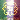 Download ICQ